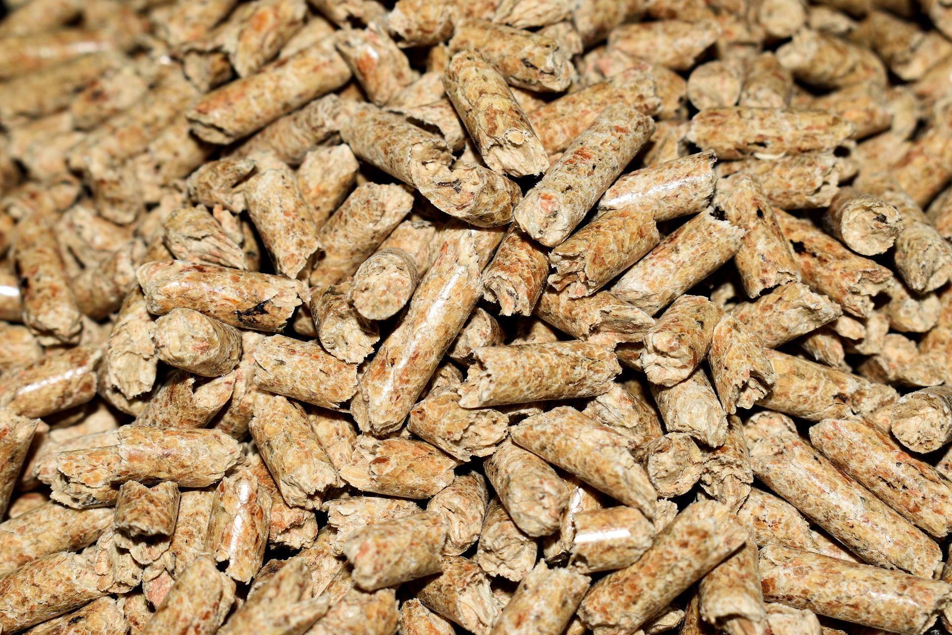 pellets-g6f6657ca5_1920