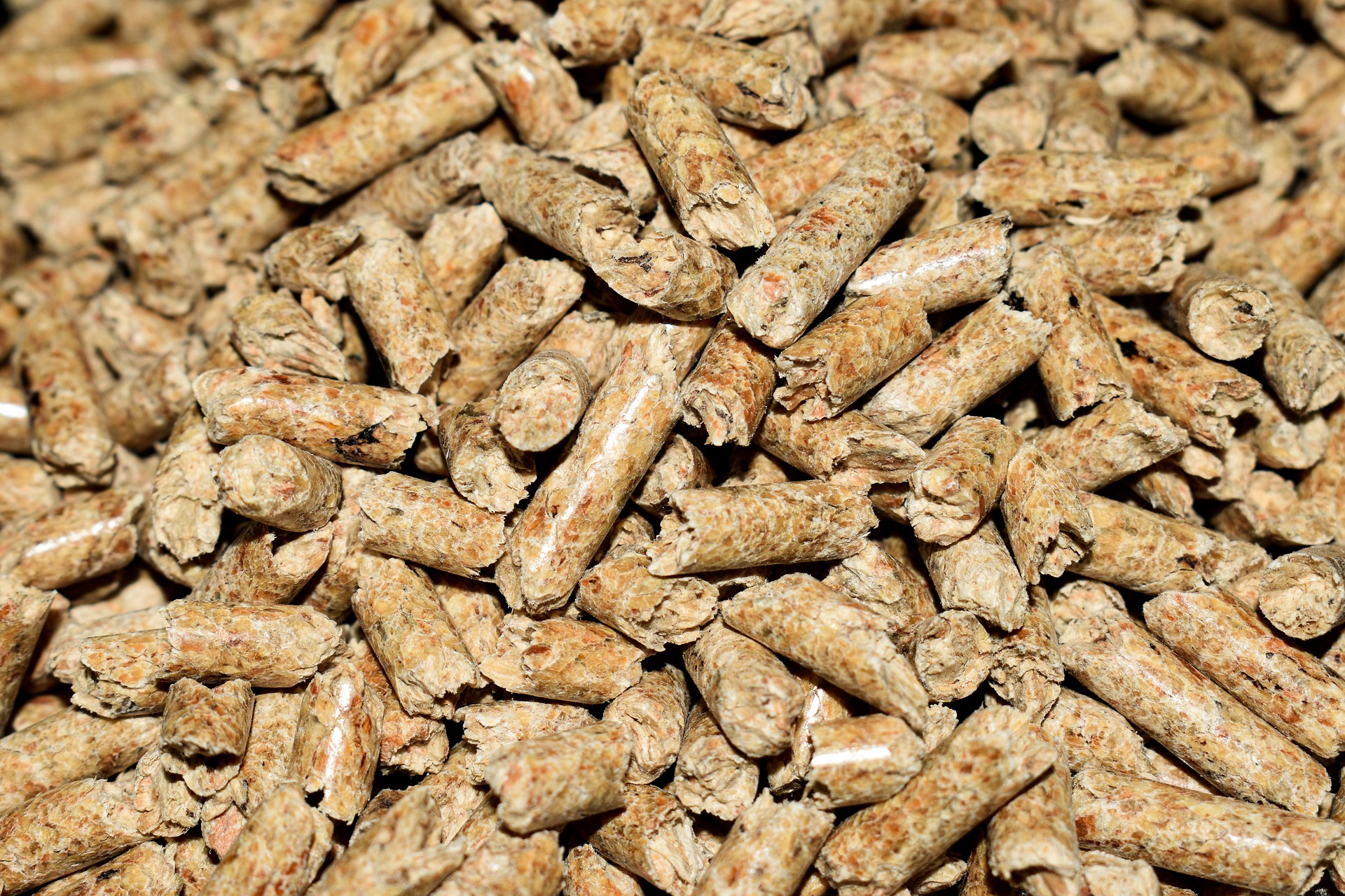 pellets-g6f6657ca5_1920